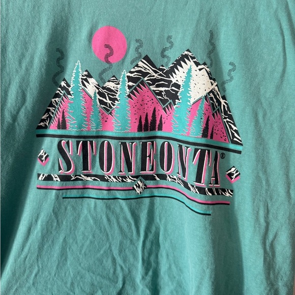 Stoneonta Teal Comfort Colors T-Shirt – Size M – Retro 90s Oneonta shirt - Picture 2 of 4